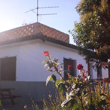 Casa Los Olivos Gravalos Екстер'єр фото